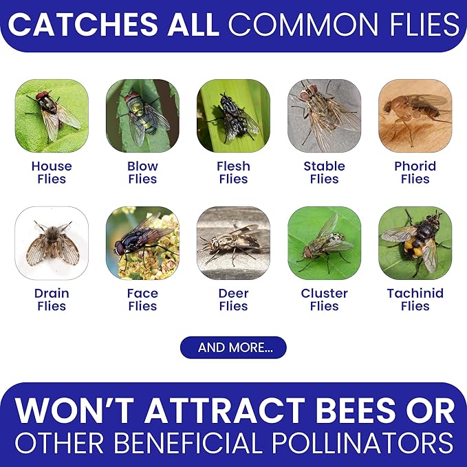 2 Fly Traps Outdoor Fly Trap for Patio with 4 Non-Toxic Dissolvable Bait Refills. Reusable Hanging Bug Catcher Killer for All Filth Flies for Outside Bug Control Yard Ranch. Hanging Chains Included