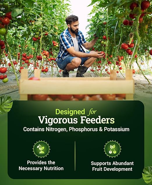 Happy Frog Tomato & Vegetable Fertilizer - Organic Vegetable Fertilizer for Vigorous Feeders, 5-7-3 Blend with Calcium & Mycorrhizal Fungi, Supports Abundant Fruit & Disease Resistance, 4lb, Pack of 2