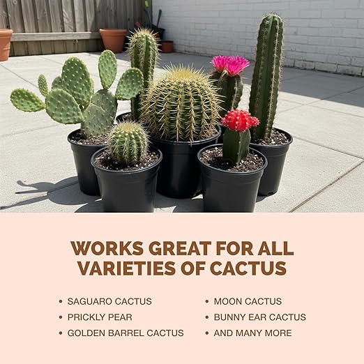 Cactus Fertilizer – Liquid Plant Food for All Cacti, Supports Healthy Cactus Growth & Blooming, 32 oz