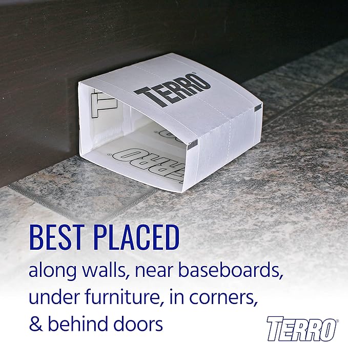 Terro T3206 Spider & Insect Traps Indoor, Insect Traps Indoor Sticky Pads, 4 Count (Pack of 1)