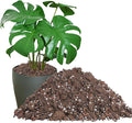 1.6QT Monstera Soil Potting Mix - Natural Organic Tropical Plant Soil for Improving Growth Rate, Sustainable Houseplants Growing Media for Indoor Bonsai Succulents Moisture Retention Drainage