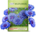 Created By Nature, Bachelor Button Seeds Tall Blue, Cornflower Seeds, Non-GMO and Pollinator-Friendly, 5,562 Annual Wildflower Seeds, Covers 325 sq. ft. (Centaurea cyanus)