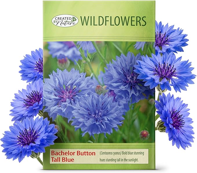 Created By Nature, Bachelor Button Seeds Tall Blue, Cornflower Seeds, Non-GMO and Pollinator-Friendly, 5,562 Annual Wildflower Seeds, Covers 325 sq. ft. (Centaurea cyanus)