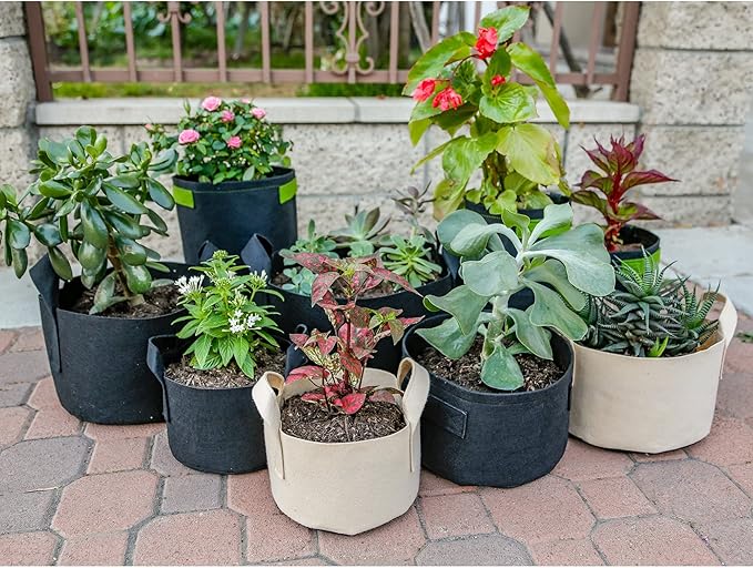 247Garden 2-Pack 200 Gallon Grow Bags/Aeration Fabric Pots w/Handles (300 GSM, Black, 24H x 50D)