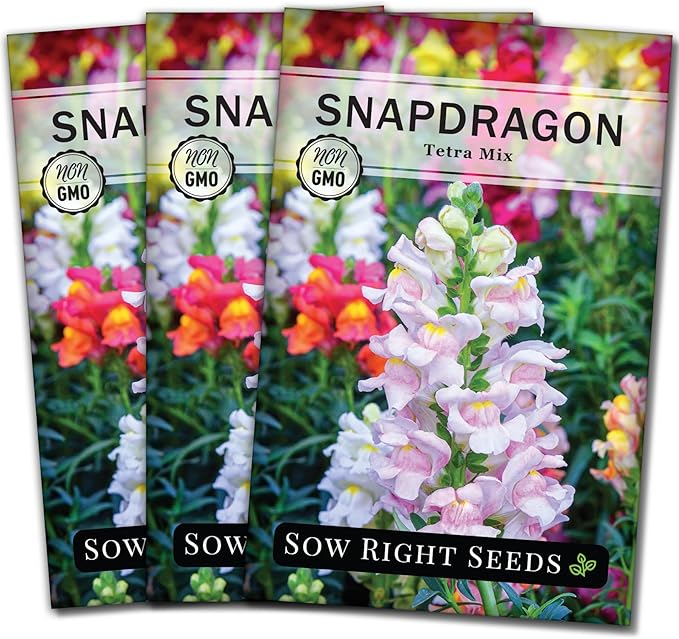 Sow Right Seeds - Tetra Mix Snapdragon Flower Seeds for Planting - Non-GMO Heirloom Packet with Instructions to Grow - Fragrant Annual Flower Spikes in a Mix of Colors - Half Tall for Front Beds (3)