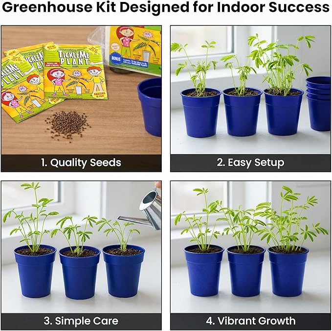 TickleMe Plant Deluxe Family Greenhouse Kit - Grow the Playful Plant that Closes Its Leaves When Tickled! Includes Mini Greenhouse, 3 Seed Packets, Soil Pellets & Pots - Fun Indoor Gardening Gift