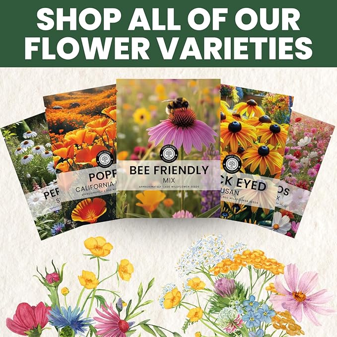 Bee Friendly Mix – 1,400 Seeds for Planting – 2026 Season – 5 Gram Pouch