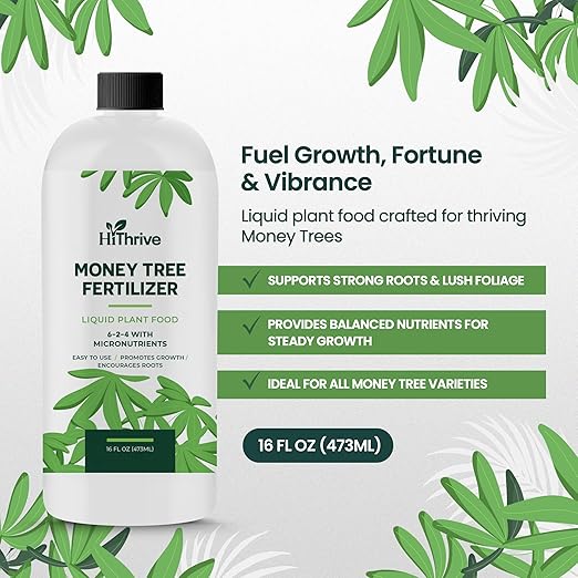 16oz Money Tree Plant Indoor Fertilizer - Makes 96 Gallons of Money Tree Fertilizer - Nutrient-Rich Plant Food with Macro & Micronutrients for Glossy Leaves, Strong Roots, and Lush, Tropical Growth