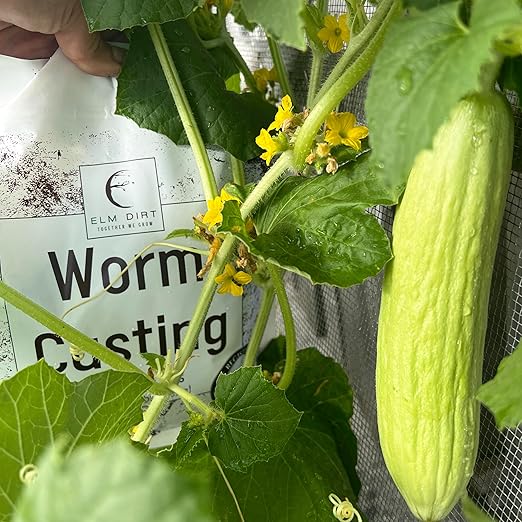 Elm Dirt Premium Ancient Soil & Worm Castings for Plants - Organic Fertilizer | 2lbs