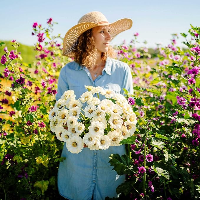 Eden Brothers Zinnia Seeds - Polar Bear, Non-GMO Seeds for Planting, 1 oz | Low-Maintenance Flower Seeds, Plant During Spring, Zones 3, 4, 5, 6, 7, 8, 9, 10