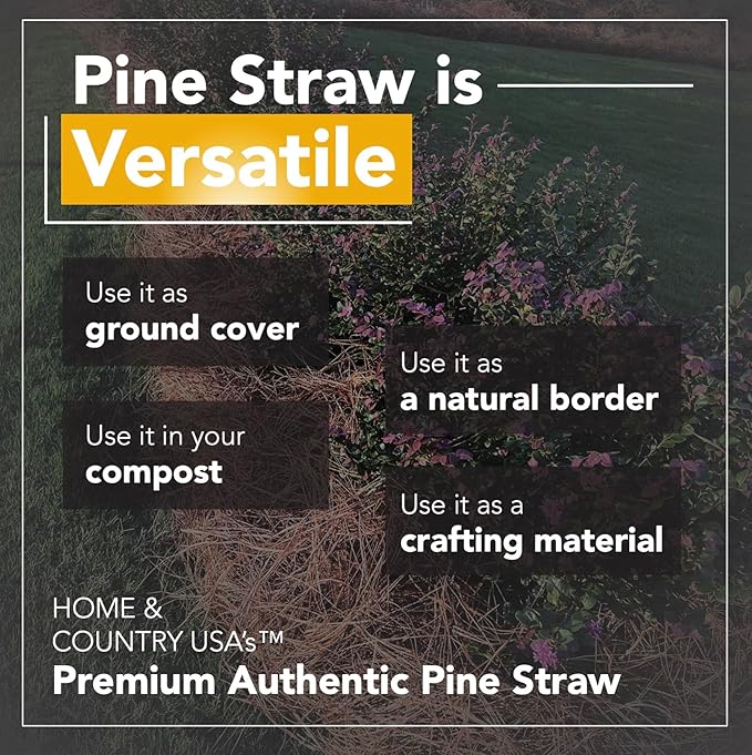 Pine Straw Mulch 1 Pound Bag, Natural Pine Needles Mulch and Pine Needle Mulch for Small Garden Projects, Planters, Crafts and Decorative Ground Cover