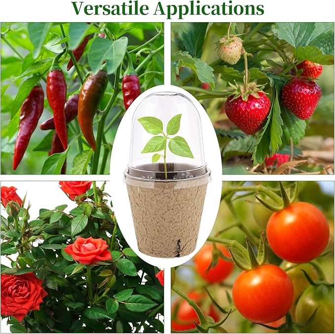 60 Set Plant Seeding Pots with Humidity Dome, 3 Inch Brown Biodegradable Seed Starter Pots, Plant Nursery Pots with Plant Labels for Seedlings, Garden Vegetable Germination
