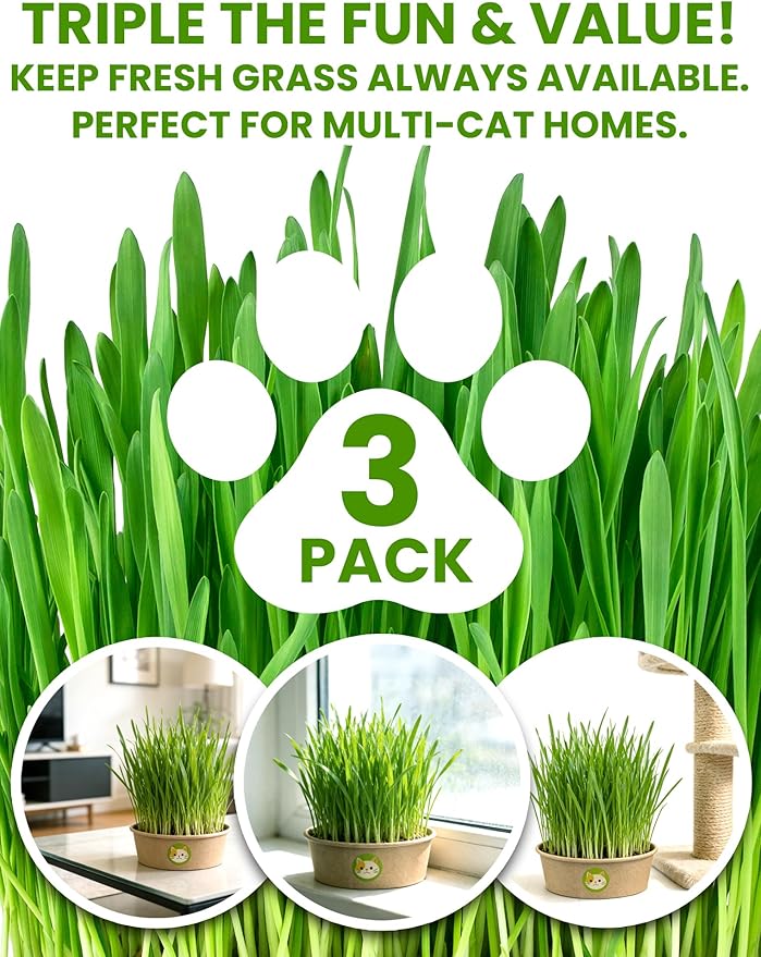 Cat Grass Kit for Indoor Cats, 3 Pack Fast Growing Cat Grass Kit with Eco-Friendly Biodegradable Pots, Soil & Wheatgrass Seeds, Grows in 3-7 Days with High Germination Rate