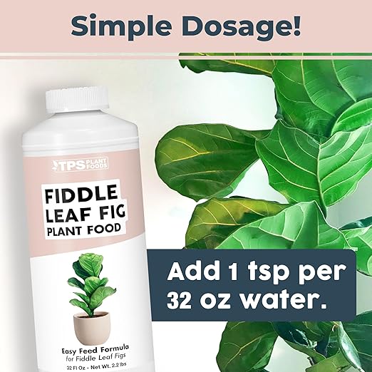 Fiddle Leaf Fig Plant Food for All Fig and Other Ficus Trees, Liquid Houseplant Fertilizer, 32 oz (1 Quart)