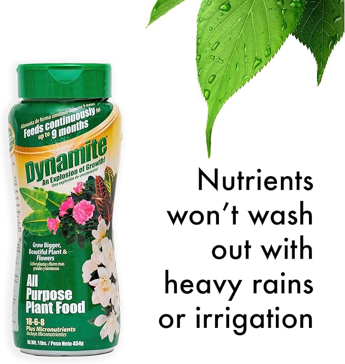 Dynamite 605951 All Purpose Indoor and Outdoor Plant Food, 1-Pound