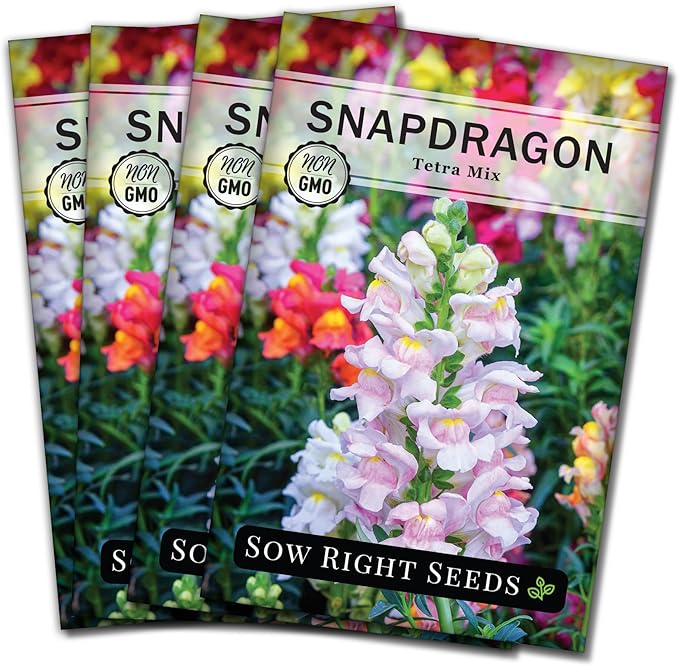 Sow Right Seeds - Tetra Mix Snapdragon Flower Seeds for Planting - Non-GMO Heirloom Packet with Instructions to Grow - Fragrant Annual Flower Spikes in a Mix of Colors - Half Tall for Front Beds (4)