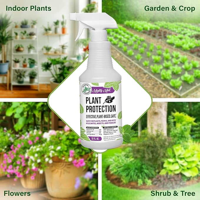 Mighty Mint Peppermint Oil Plant Protection Spray – Insect & Pest Control for Gnats, Spider Mites & Aphids – Plant-Based, Easy-to-Use with Microfiber Cloth- 32 oz