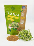 Todd’s Seeds - Premium 100% Chemical Free Alfalfa Sprouting Seeds - Easy to Grow Perfect Bulk Alfalfa Sprouts - Fast Growing with High Germination (1/4 Pound) USA Made