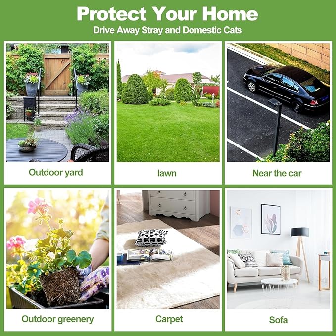 Cat Repellent Outdoor to Keep Cats Away, Natural Peppermint Oil Cat Deterrent Outdoor and Indoor, Keep Cats Out of Yard Permanently, Protect Your Yard and Furniture (Green,10 Count (Pack of 1))