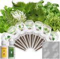 LYKOCLEAN Gourmet Herb Seeds Pod Kit for AeroGarden, idoo, Ahopegarden, MUFGA Hydroponics Garden Include Cilantro, Basil, Parsley, Mint, Liquorice, 7-Pods, 350+ Seeds