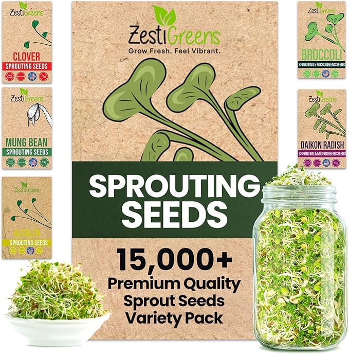 ZestiGreens Sprouting Seed Sampler – 5 Top Varieties (1 Pack Each, 11 g) | Broccoli, Alfalfa, Mung Bean, Clover & Daikon Radish | High-Germination, Perfect for Jars & Trays