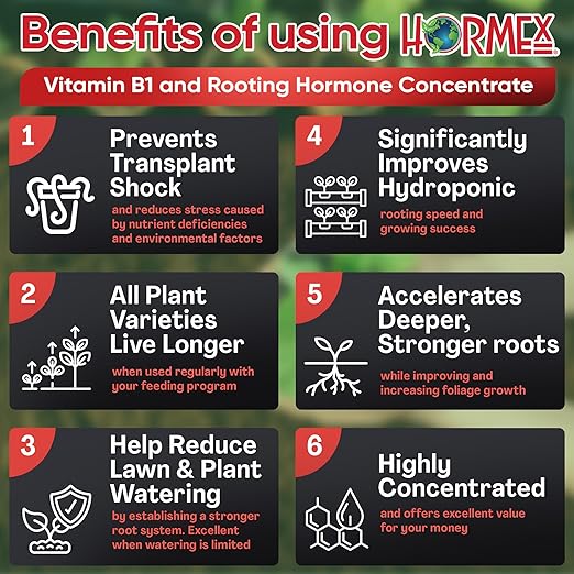 Hormex Rooting Hormone Concentrate with B1 – Root Growth Stimulator for Stronger, Thriving Plants - Prevents Transplant Shock - Hydroponics, Houseplants, Gardens, Trees, Fruits and Vegetables - 8oz