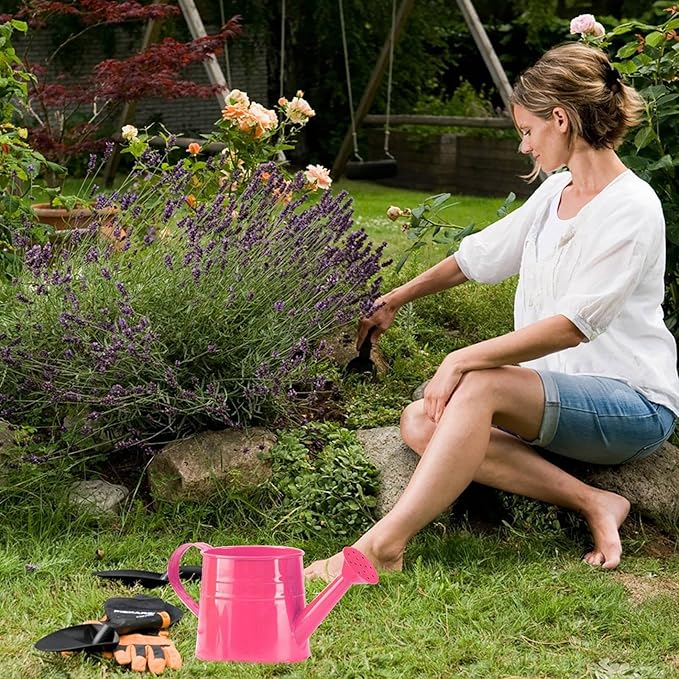 Tinplate Watering Kettle, 1L Metal Garden Watering Can, Vintage Sprinkling Can for Flowers, Indoor & Outdoor Plants, Lawn & Garden Irrigation Tool (Deep Pink)
