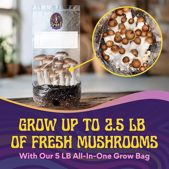 SPORE SORCERY 5 LB All-in-One Grow Bag: Up to 40oz of Mushrooms! Nutrient-Enhanced, Injection Port, Just Add Your Own Spores & Grow Like Magic (5 LB Bag)