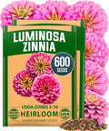 HOME GROWN Flower Seeds Giant (Zinnia Luminosa, 2-Pack)