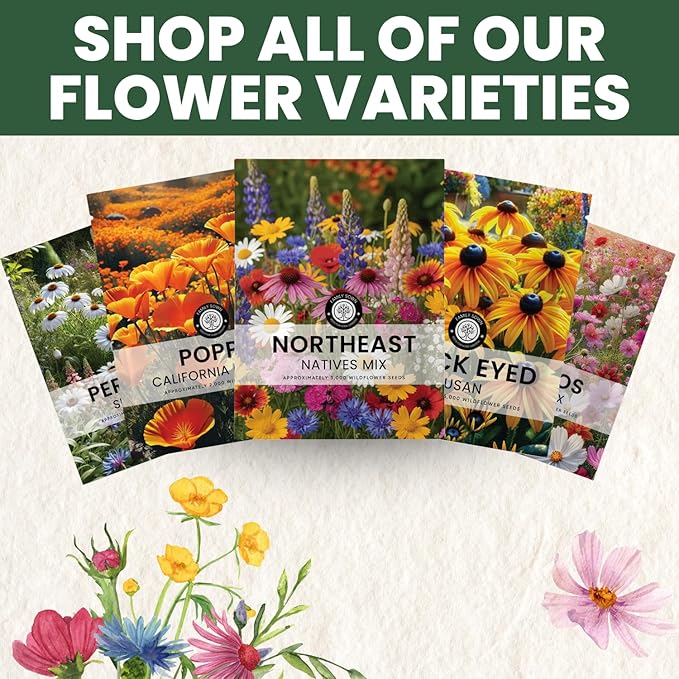 Northeast Natives Mix – 3,000 Seeds for Planting – 2026 Season – 5 Gram Pouch