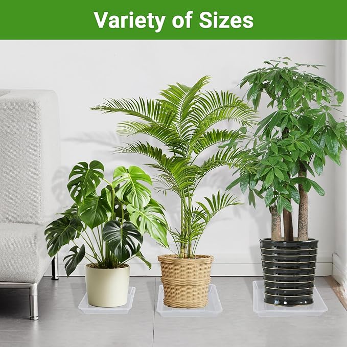 GREANER Clear Plant Saucer, 8/10/12 Inch Humidity Tray for Orchids, Plant Water Catcher Tray for Indoor Outdoor Use(6 Packs)