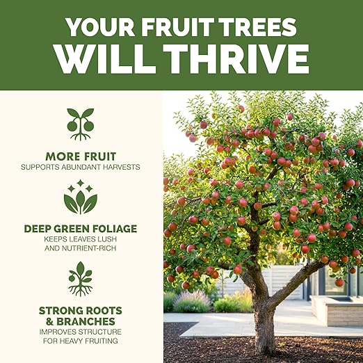 Fruit Tree Fertilizer – Liquid Plant Food for All Fruit Trees, Supports Heavy Blossoms, Bigger Harvests & Healthy Growth, 1 Gallon