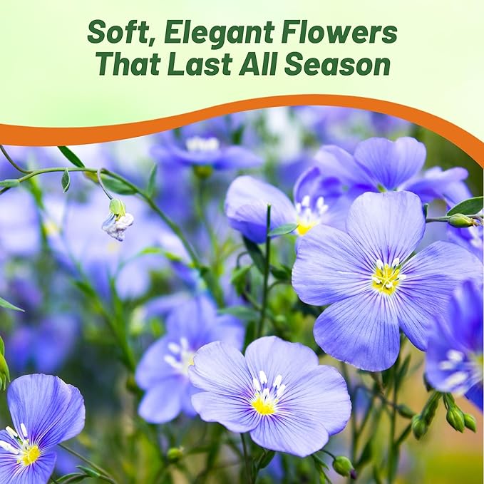Outsidepride Blue Flax Seeds - 5000 Pcs Perennial Flower Seeds for Planting, Self-Seeding, Drought-Tolerant w/Compact Growth, Ideal for Small Gardens, Meadows, Borders, or Mass Plantings