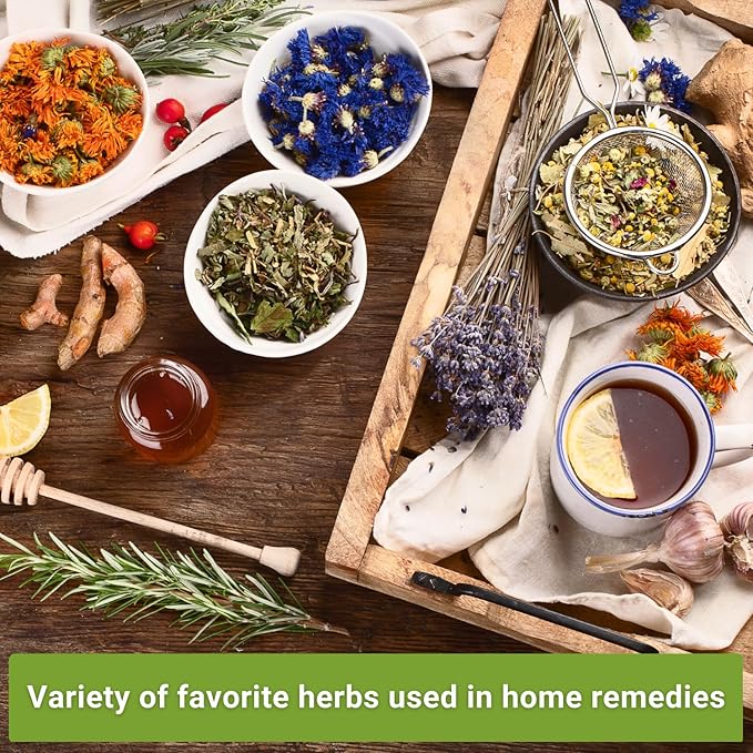 Sow Right Seeds - Medicinal Herb Seed Collection for Planting - Roman Chamomile, Echinacea, Lavender, Hyssop & Comfrey - Non-GMO Heirloom Seed - Grow Your own Home Remedies, Teas, & Tinctures