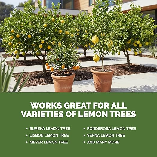 Lemon Tree Fertilizer for Lemon Trees and Citrus, Liquid Plant Food, 1 Gallon (128 oz)