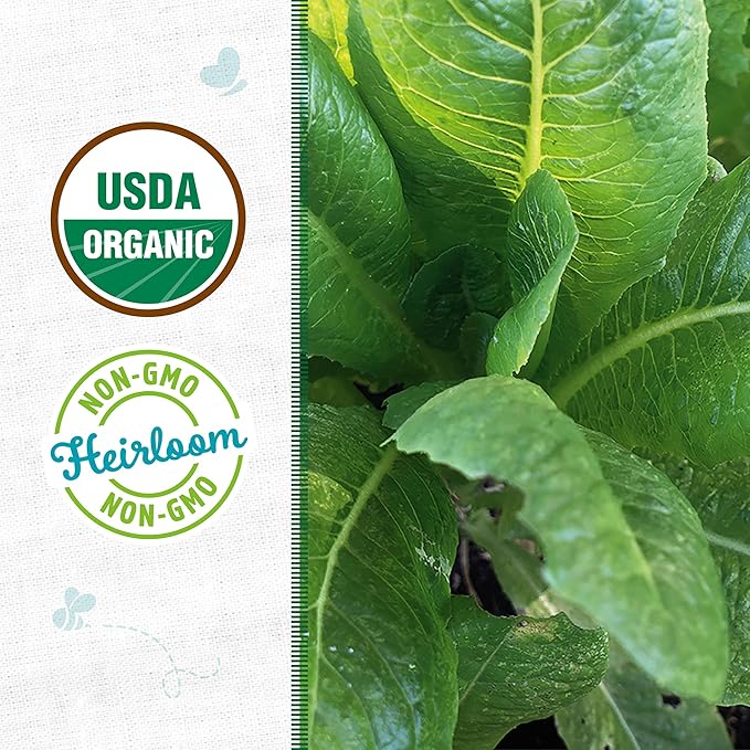 Back to The Roots 100% Organic Seed Packet - Lettuce 'Paris Isle Cos' 420mg