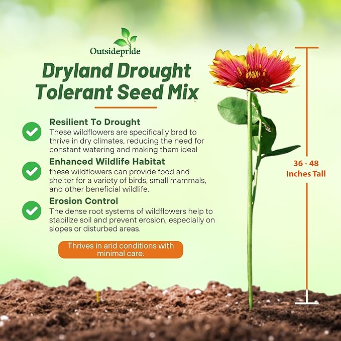 Outsidepride Dryland Wildflower Seed Mix - 1 lb. Colorful Blend of Drought Tolerant, Annual and Perennial Wildflower Seeds for Attracting Pollinators in Arid States & Xeriscapes