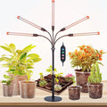 FECiDA 2026 5Head Table Top Grow Lights for Seed Starting, Indoor Plants, Bonsai, 45 Watt Power Draw, NO Need Adapter, 4/8/12/16/20H Timer, 16"-24" Height Adjustable, Big Coverage