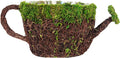 SuperMoss (55261) 9" Deco Watering Can Planter Basket, Large