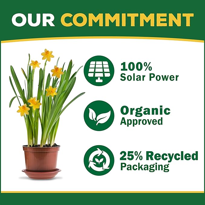 Espoma Organic 8 Ounce Concentrated Tomato! Plant Food - Plant Fertilizer for All Types of Tomatoes and Other Vegetables. for Organic Gardening. Pack of 1.