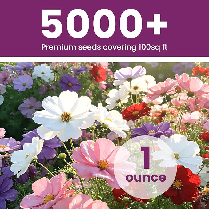 Cosmos Seeds Mix, 1 Ounce Over 5000+ Crazy Blend Cosmo Flowers Seed for Planting, Open Pollinated, Non-GMO, Heirloom Crazy Cosmos Seeds for 2026