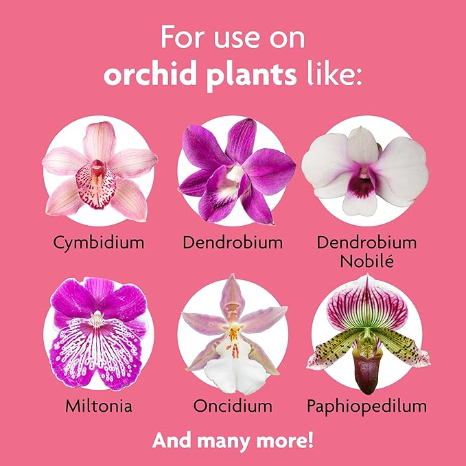 Miracle-Gro Orchid Plant Food Spikes - Indoor Plant Fertilizer Sticks for Potted Orchids, Feeds for up to 2 Months, 10 Spikes