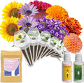 inbloom Fragrant Bouquet Flower Seed Pod Kit for AeroGarden, iDoo, Ahopegarden, GARDENCUBE, 7 Pods (350+ Flower Seeds with Sunflower, Mexican Marigold, Cockscomb, French Marigold, Dahlia)