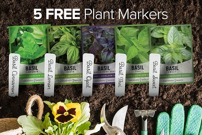 Gardeners Basics, Basil Seeds for Planting Home Garden Herbs - 5 Variety Herb Pack Thai, Lemon, Cinnamon, Sweet and Dark Opal Basil Seeds Herb Seeds for Indoors, Outdoors, Hydroponics & Aquaponic