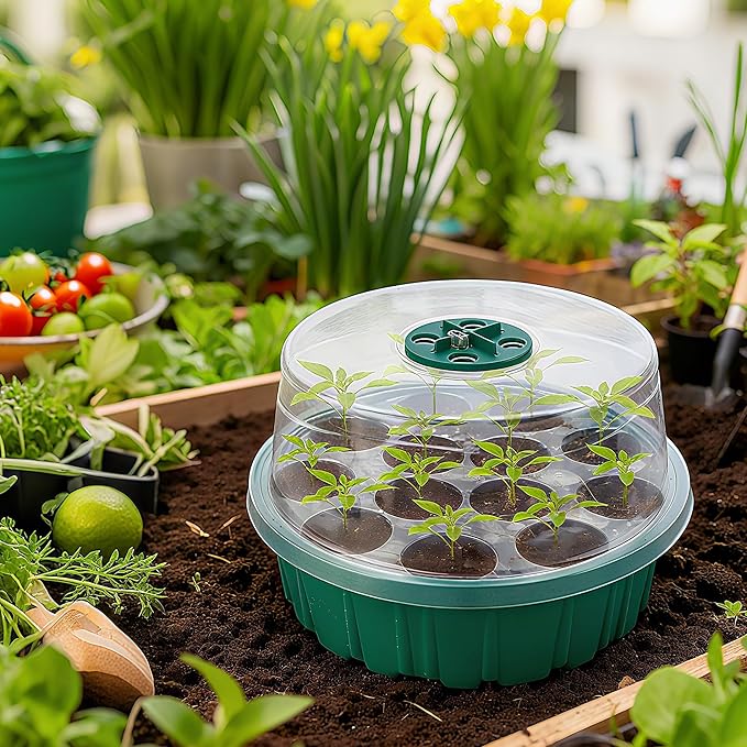 CJGQ 5Sets Seed Starter Tray with Grow Light,13-Hole Round Seedling Box,Elevated Seedling Starter Trays Kits with Adjustable Humidity Domes and Clear Cell Tray for Greenhouse Seeds Growing Starting