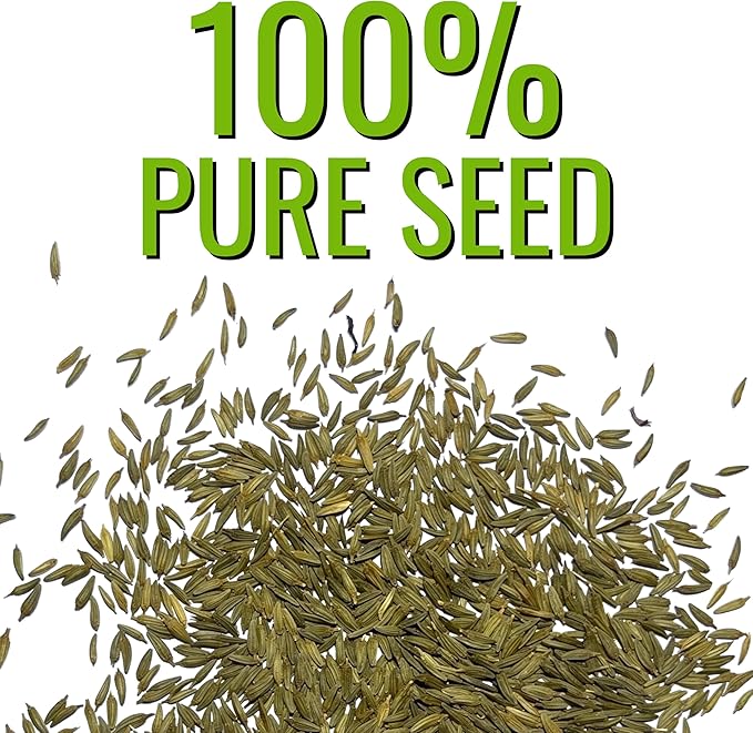 Seed Needs Dandelion Seeds for Planting Taraxacum officinale - Non-GMO Heirloom & Untreated Perennial Herbs - Grow Salad Greens, Food for Tortoises, Rabbits & Bearded Dragons (5 Packs)