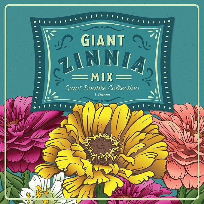Zinnia Seeds for Planting Outdoors ~3000 California Giant Mix Zinnia Seeds - Beautiful 4' Tall Wildflower Blossoms - Zinnia elegans Pollinator Seed Mix - Bright, Cheerful Annual Flower Seed