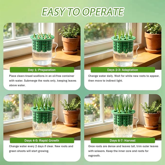 2Sets Green Onion Planter Scallion Grower Seed Sprouting Kit, 2 Green Onion Regrower Container and 2 Plastic Cups with Handle for Windowsill Garden Indoor Hydroponics Propagation Enthusiasts