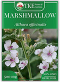TKE Farms & Gardens - Marshmallow Seeds for Planting, 250+ Non-GMO, Heirloom Seeds, Grow Marshmallow Root for Herbal Tea, Perennial Herb, Instructions Included