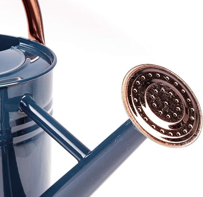 Gardman R34896 1 Gallon Watering Can, Midnight Blue